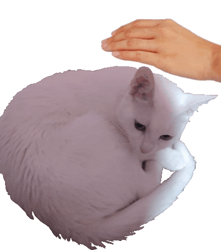 Cat White Cat Sticker - Cat White Cat Pet Stickers