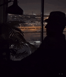 a person is looking out a window at night