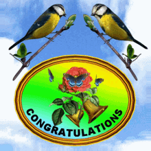 Congratulations Best Wishes GIF - Congratulations Best Wishes Greetings GIFs