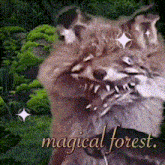Forest Magical GIF - Forest Magical Meditation GIFs