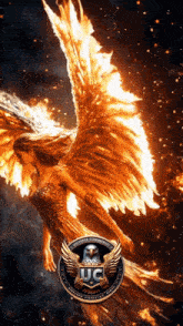 a woman with flaming wings is surrounded by a uc emblem
