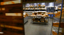 All You Need Is Eggs GIF