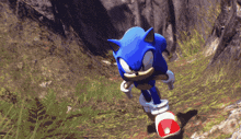 a sonic the hedgehog video game character is running down a hill