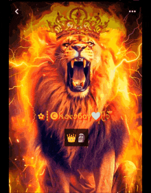 a lion with a crown on its head is surrounded by fire
