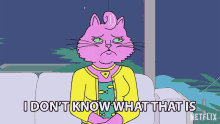 I Dont Know What That Is Princess Carolyn GIF - I Dont Know What That Is Princess Carolyn Bojack Horseman GIFs