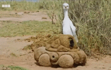 a white bird is standing on top of a stuffed animal that says bbc on the bottom