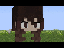 a minecraft character with brown hair and white eyes stands in a grassy field