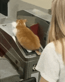a cat sitting on top of a metal machine next to a woman in a white shirt