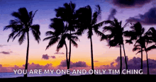 Beach You Are My One And Only GIF - Beach You Are My One And Only Tim Ching GIFs
