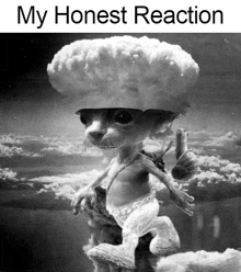 My Honest Reaction Smurf Cat Honest Reaction GIF