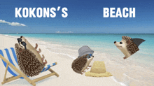 Kokons Beach GIF - Kokons Beach GIFs
