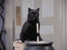 GIF