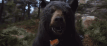 Cocaine Bear GIF - Cocaine Bear GIFs