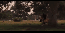 Cjcjcj Horse GIF - Cjcjcj Horse Gallop GIFs