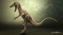 Utahraptor Dinosaure GIF - Utahraptor Dinosaure GIFs