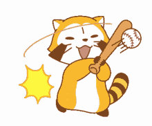 raccoon baseball