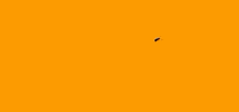 a colorful logo for logan wolf is on a bright orange background