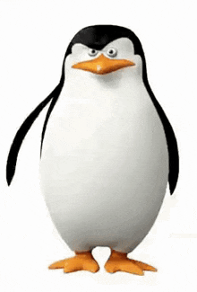 Hormat Pinguin Hormat GIF - Hormat Pinguin Hormat Hormat Kepada Saudari GIFs
