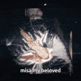 a picture of a cat with misa my beloved written on the bottom