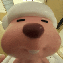 a close up of a stuffed animal 's face with a white hat on