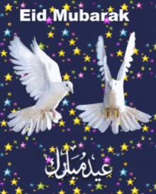 Eid Mubarak White Doves GIF - Eid Mubarak White Doves Stars GIFs