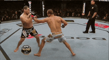 two men are fighting in a ufc ring and the time 4:06