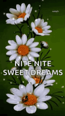 Nite Nite Sweet Dreams GIF - Nite Nite Sweet Dreams Sparkles GIFs