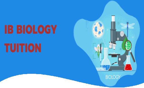 Ib Biology Tutor Sticker