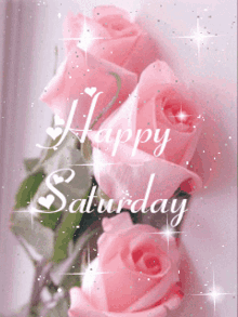 Happy Saturday Rose GIF