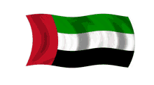 اليوم الوطني الإماراتي علم الإمارات GIF - United Arab Emirates National Day Emirati Flag GIFs
