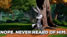 Space Jam Bugs Bunny GIF - Space Jam Bugs Bunny Nope Never Heard Of Him GIFs