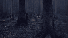 Scary Peeking GIF - Scary Peeking Forest GIFs