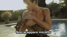 Nicolò Ferrari Micetto Micio Gatto Scappare Accarezzare GIF - Nicolo Ferrari Cat Kitty GIFs