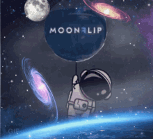 moonflip mflip crypto token binance