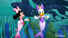 Shocked Minnie Mouse GIF - Shocked Minnie Mouse Daisy Duck GIFs