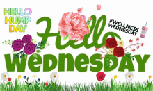 Hello Wednesday GIF - Hello Wednesday Wednesday GIFs