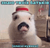 a pig wearing a straw hat with a red ribbon and a caption that says " знаю твоіх батьків "