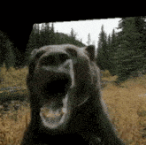 Laging Bear GIF - Laging Bear Bear GIFs