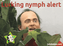 a man holding a leaf with the words lucking nymph alert written above him