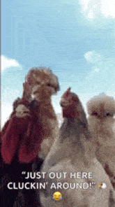 a group of chickens are standing next to each other and one of them is holding a chicken .