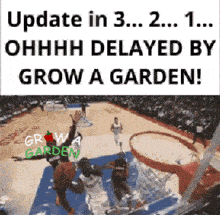 a basketball game is being played with the words update in 3 2 1 ohhhh delayed by grow a garden
