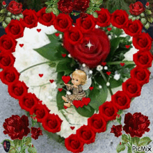 Nasserq Love GIF - Nasserq Love Roses GIFs