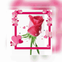 Rose Flower GIF - Rose Flower Hearts GIFs