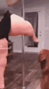 a person is standing on a pole in a room .