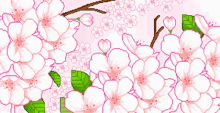 Flowers Leaves GIF - Flowers Leaves Pink GIFs