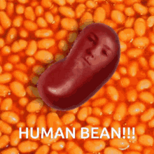 Bean Human GIF - Bean Human Angel GIFs