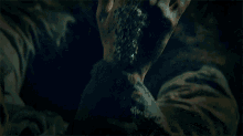 Infected The Green Knight GIF - Infected The Green Knight I Got The Virus GIFs