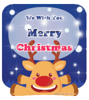 We Wish You Merry Christmas Sticker - We Wish You Merry Christmas Merry Xmas Stickers
