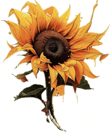 Flower Sunflower GIF - Flower Sunflower Cartoon Flower GIFs