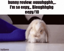a bunny rabbit is standing on a white surface next to a blue object .